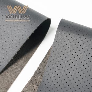 Car Interior Leather