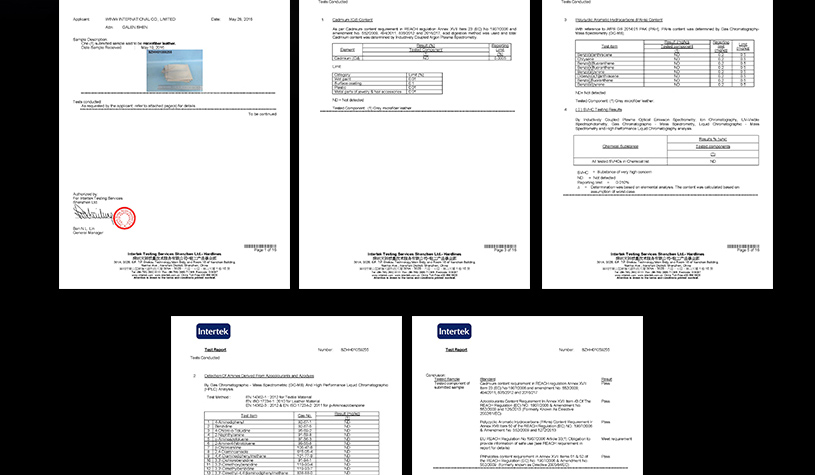 Winiw Automotive Leather Supplier 16
